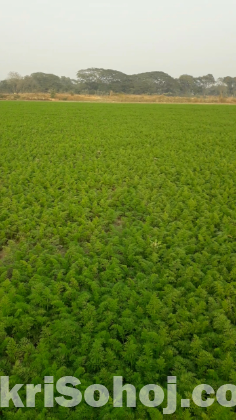 এই জমি বিক্রি করা হবে